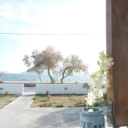 V&e's Apartment