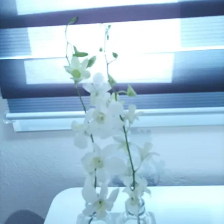 V&e's Apartment *
